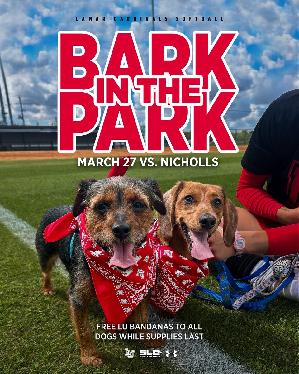 Lamar Softball tweet media