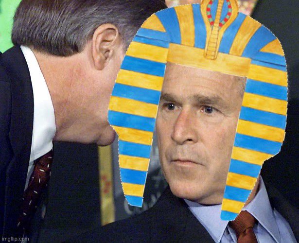 Forrest Miller 🎥🏆 tweet media