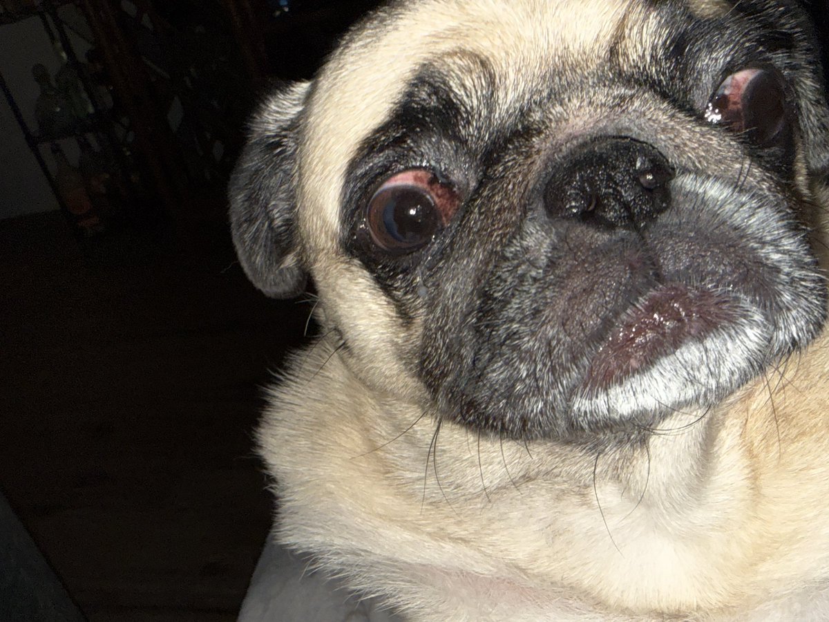 Ⓘⓛⓛⓤⓢⓘⓞⓝⓔⓔⓡ tweet media