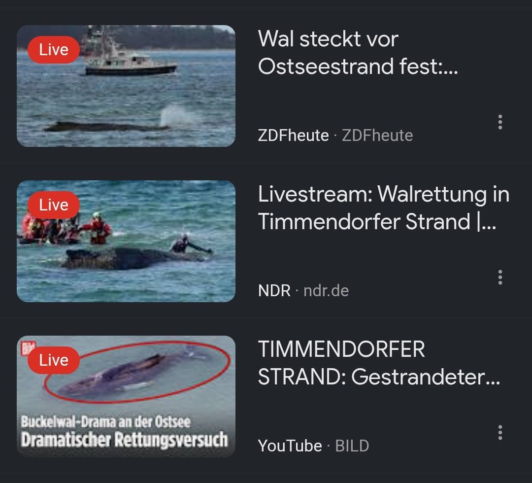 𝙎𝘼𝙆𝙄 🗯 tweet media