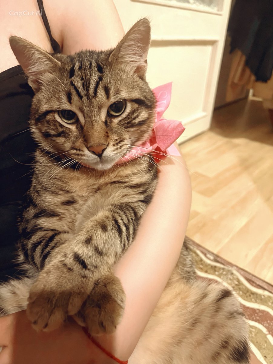 michelle 🇹🇷 tweet media