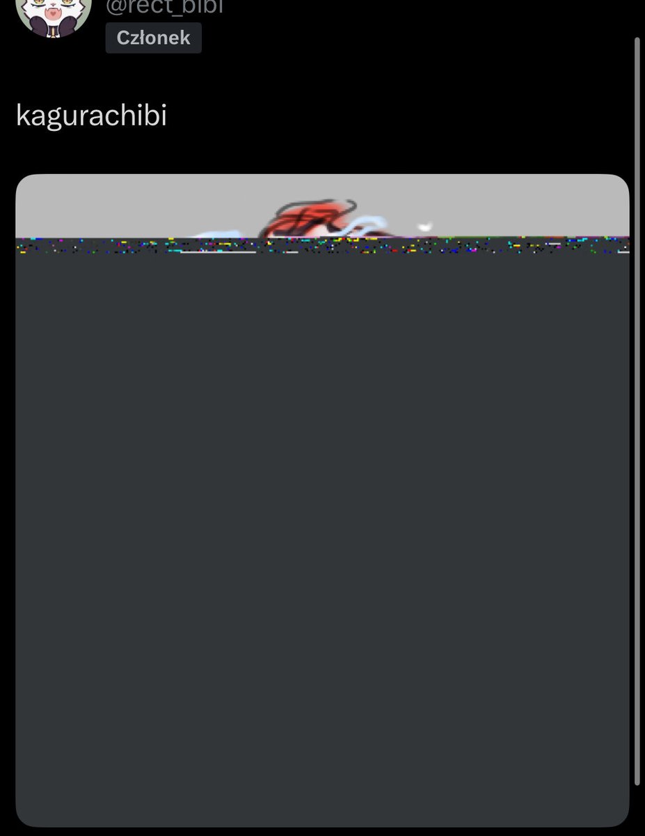 bibi 🐱 tweet media