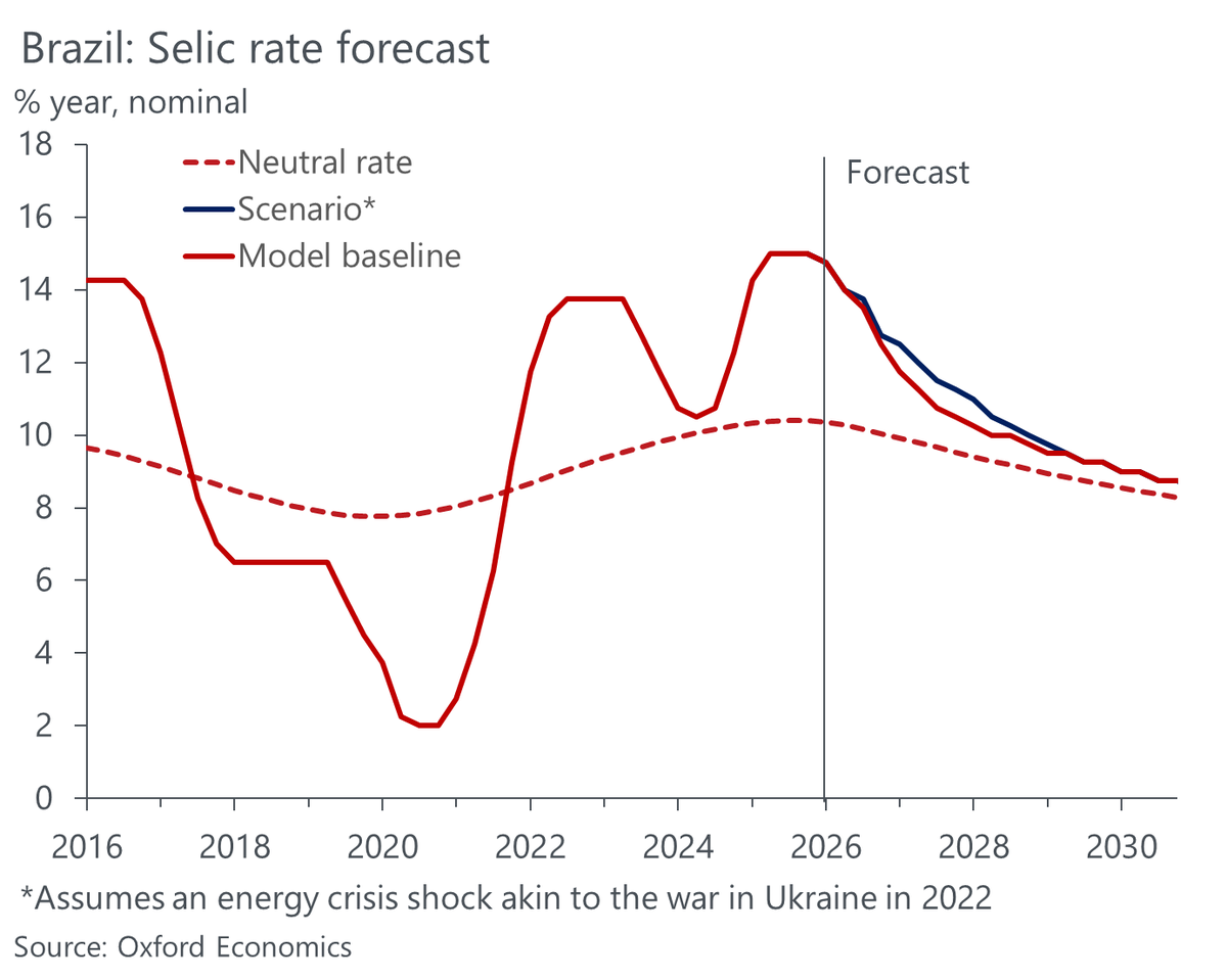 Felipe Camargo tweet media