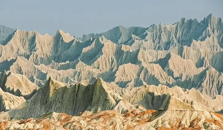 ياسر العمدة tweet media