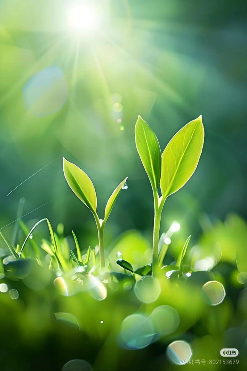 Twilight O-holic tweet media