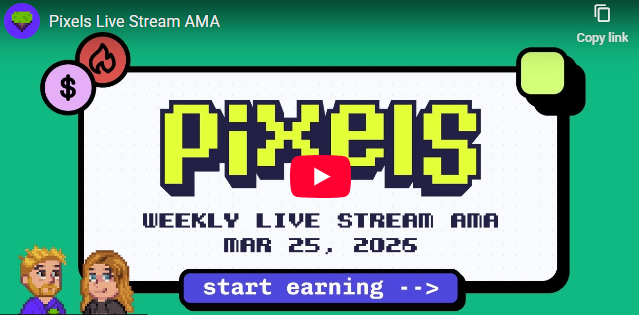 Dynamic Warrior tweet media