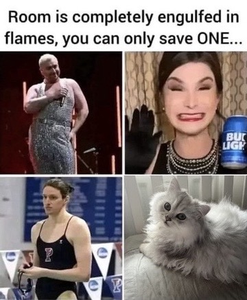 Anti Woke Memes tweet media