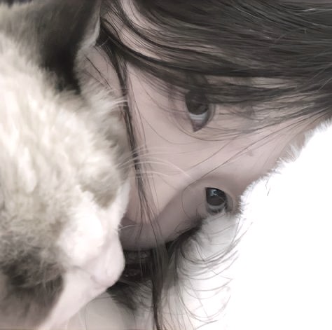 ₊˚☁️⊹♡ wonydoll ♡⊹☁️˚₊ tweet media