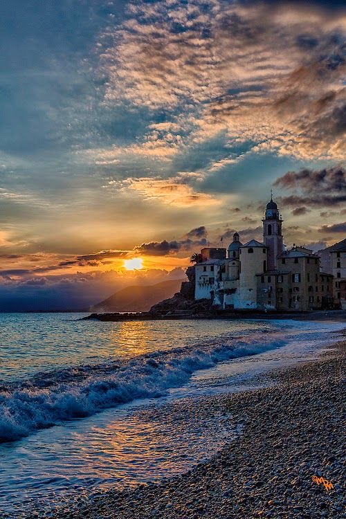 Amico fragile tweet media