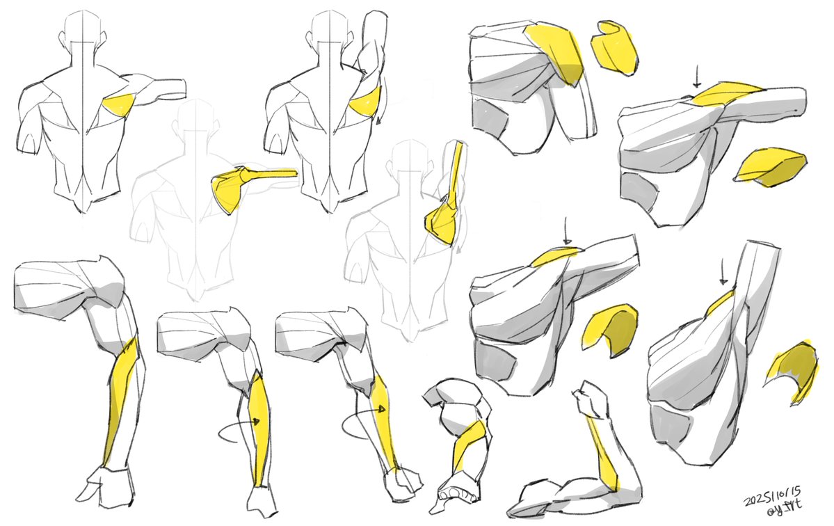 형광펜 FLYINGPEN / RAUM tweet media
