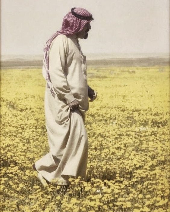 DeemSubaie's tweet photo. تشتاق له روضة خريم وتحرّاه
ما باقي إلا تنشد الناس وينه https://t.co/7dkeFscNHT