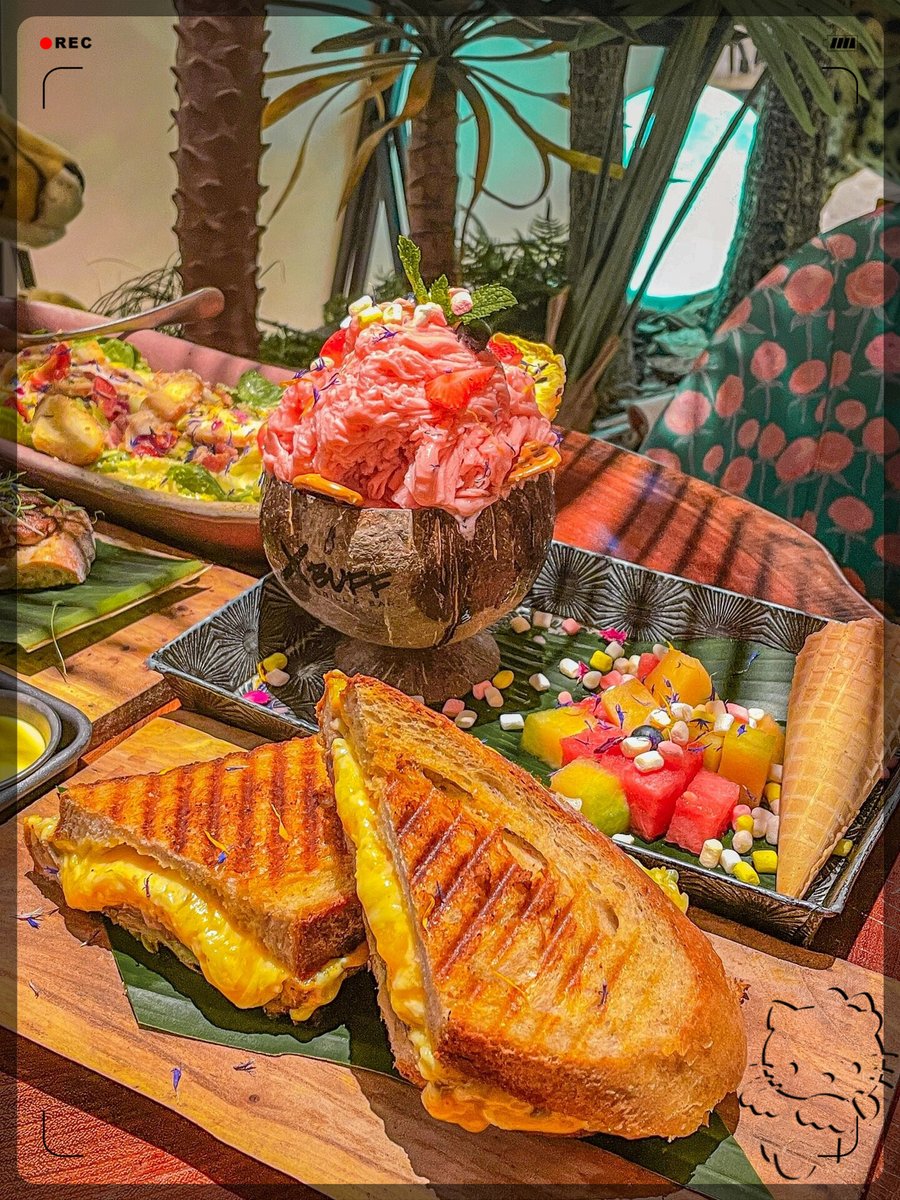 Alia Aziz tweet media