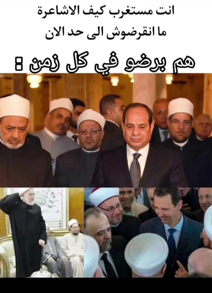 مُنَبه الذِكر tweet media