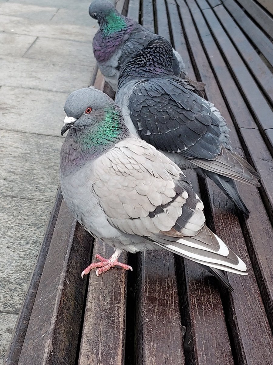 𝘤𝘳𝘶𝘴𝘵𝘺☁️ tweet media