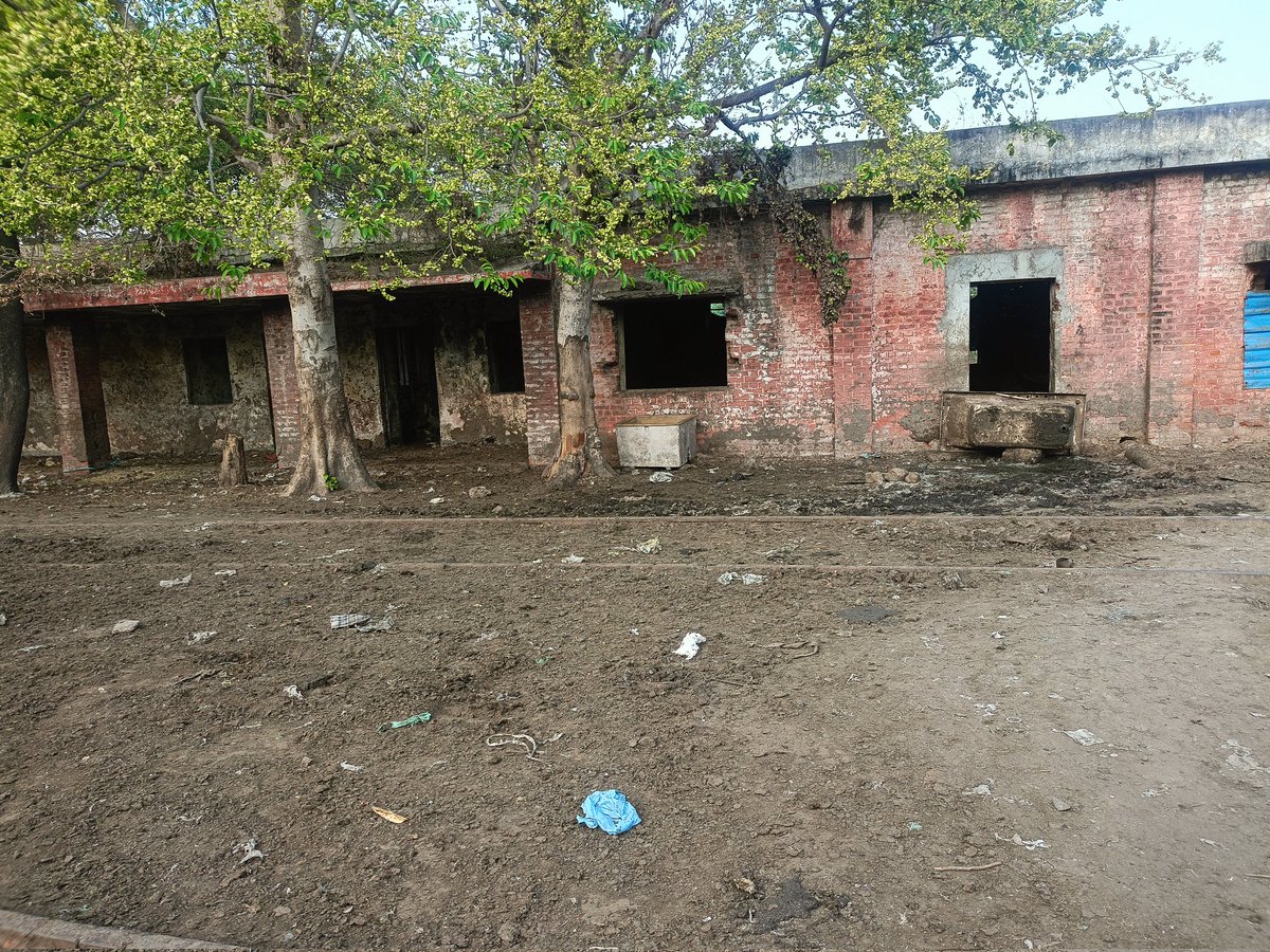 Nareshc90758941's tweet photo. Railway property (at the end of the railway line) in Ali Village, South East Delhi occupied by cow herders. Please take action.@DelhiPolice @MCD_Delhi @animalwelfareb1 @railcomplaint @RailwayNorthern @DCPSEastDelhi @CPDelhi @JaitpurSho https://t.co/fCWZSZUGrQ