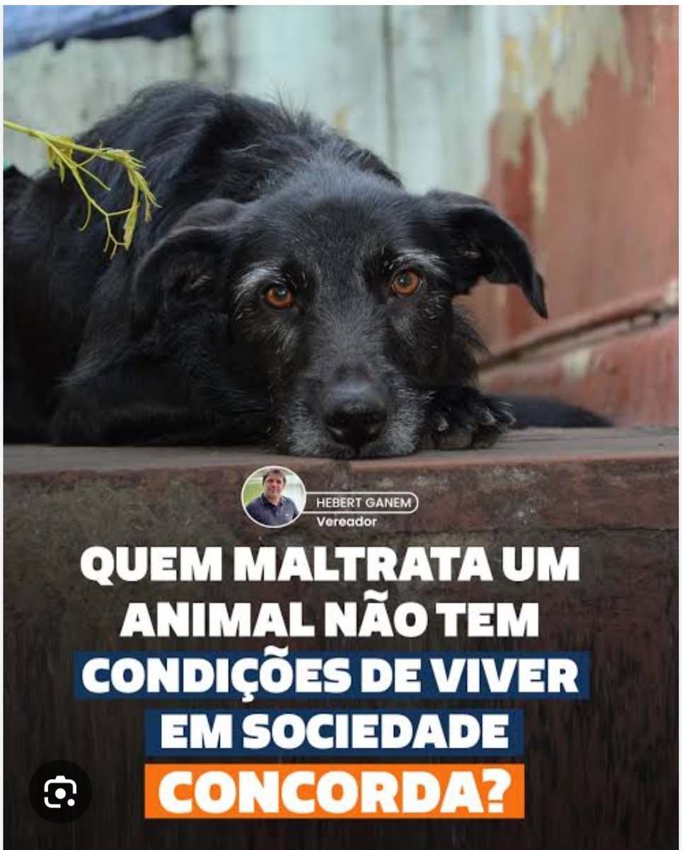 izabel468301's tweet photo. #JUSTICAPARAORELHA https://t.co/CrLVdJgUBQ