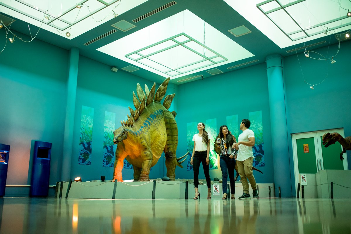 Página Zero tweet media