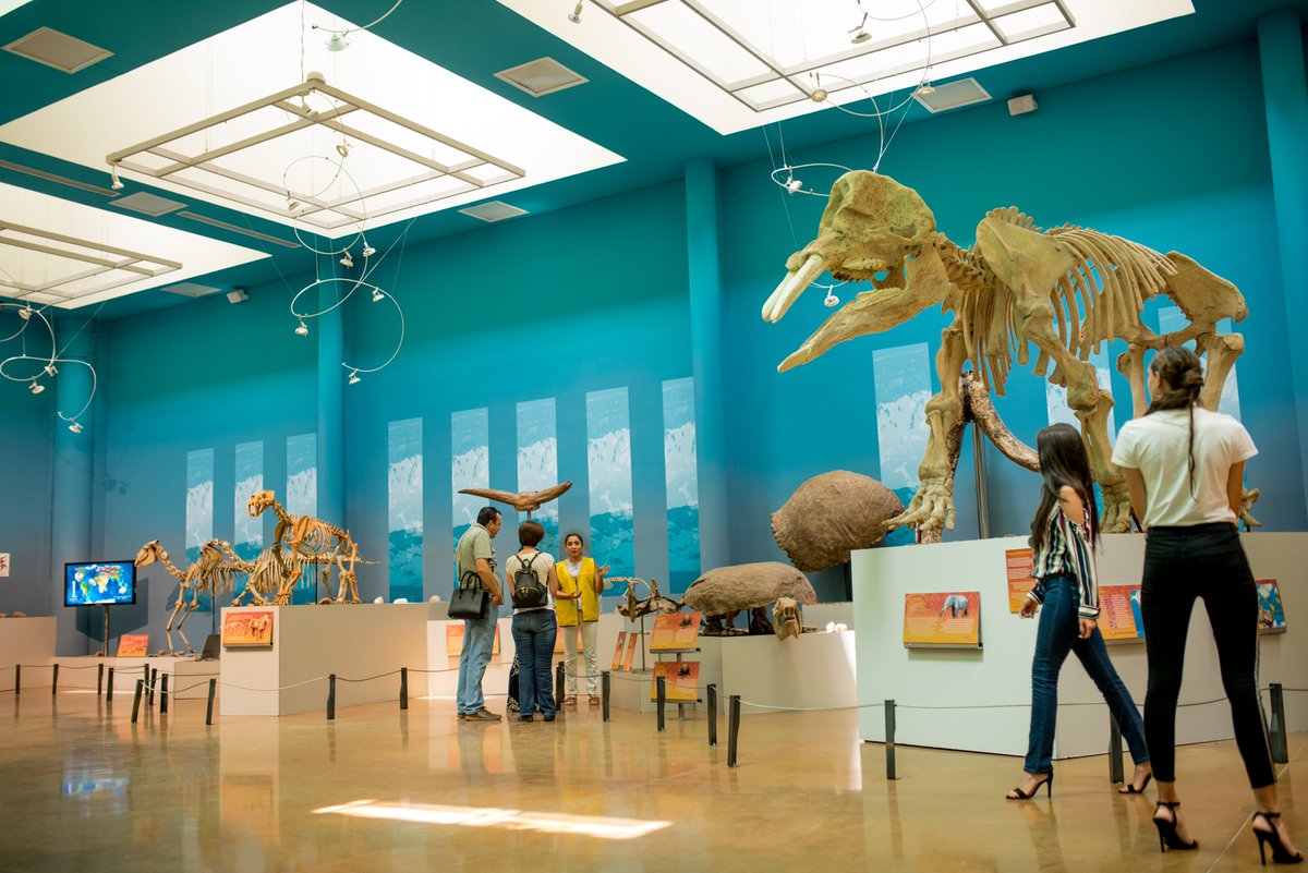 Página Zero tweet media