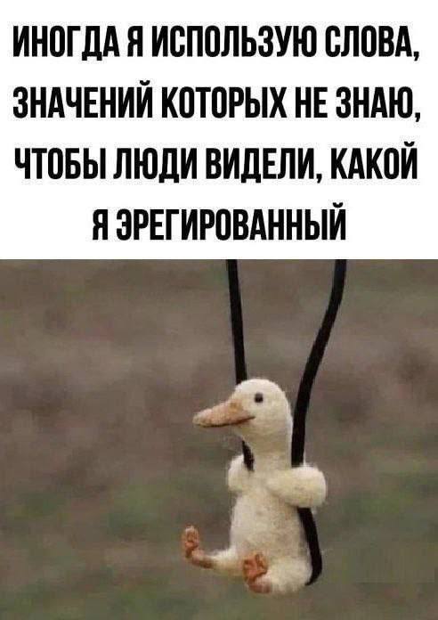 nikabh's tweet photo. @uspehink https://t.co/4yIN2JV9Ni