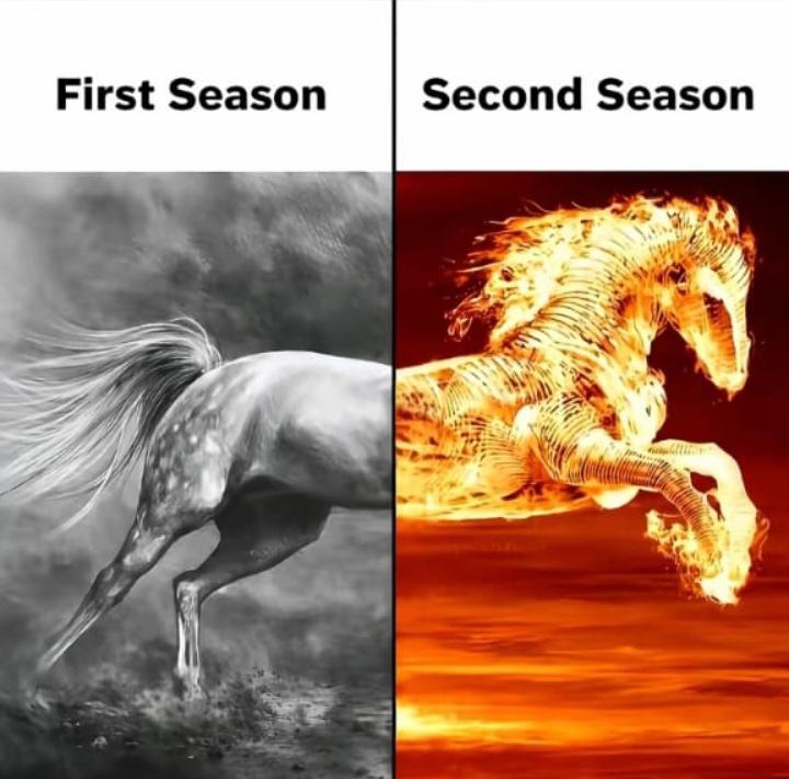 𝐀𝐥𝐥 𝐈𝐧 𝐎𝐧𝐞 𝐀𝐧𝐢𝐦𝐞 tweet media