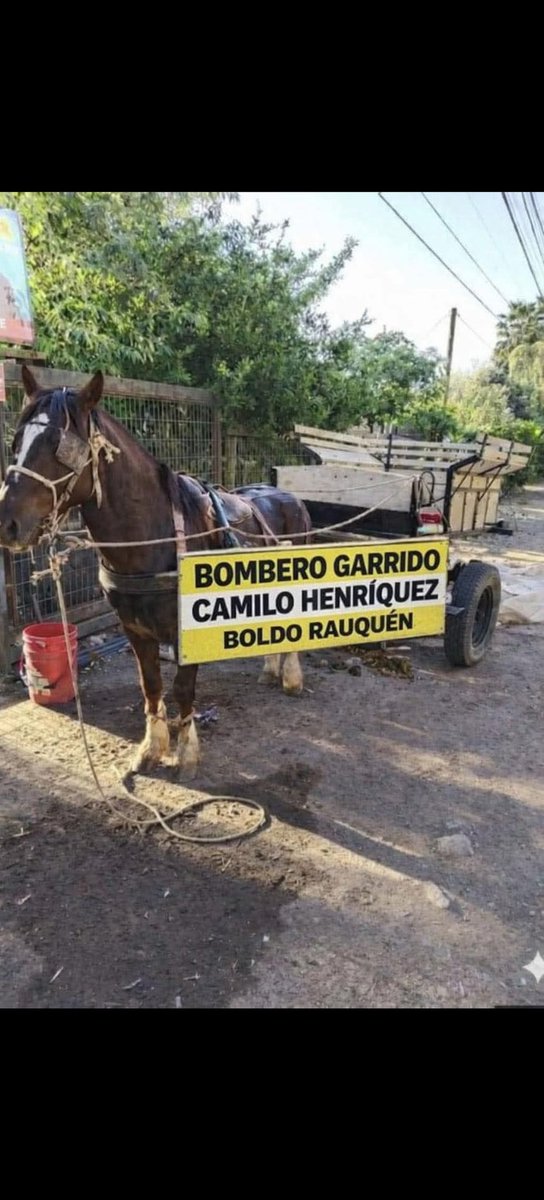 PPR FAVOR SI PUEDEN PROMOVER MI PIME, SEXTA Y SÉPTIMA REGIONES. GRACIAS