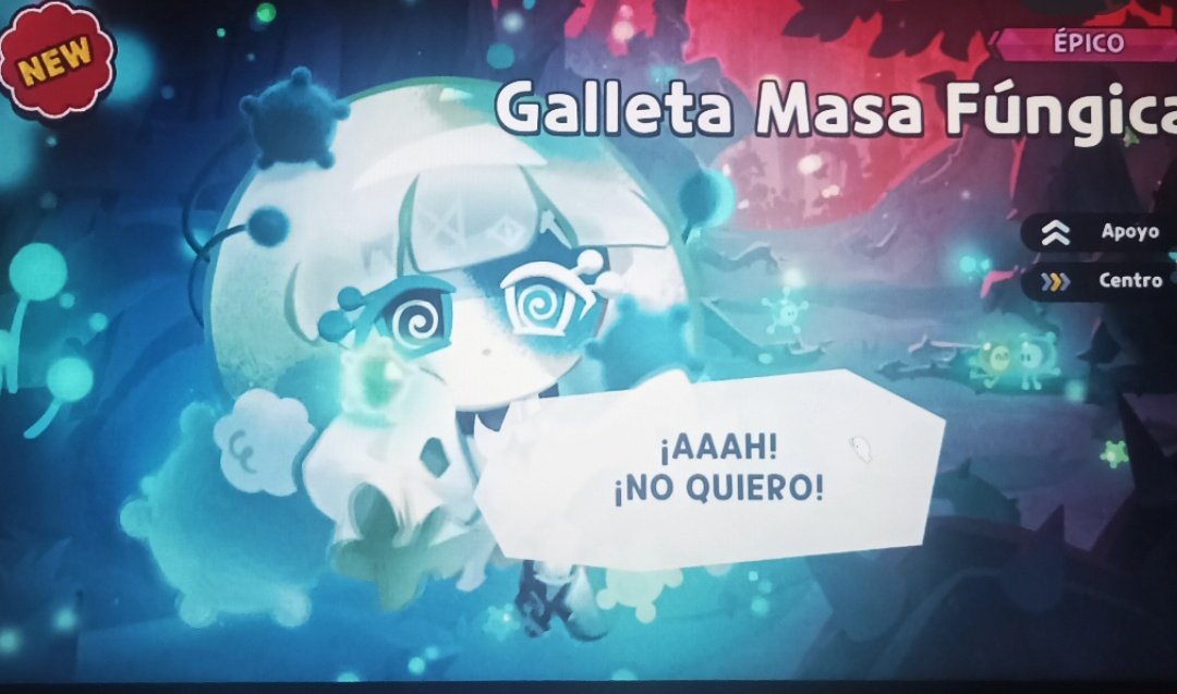 #BASEDCHAMPOLLA tweet media