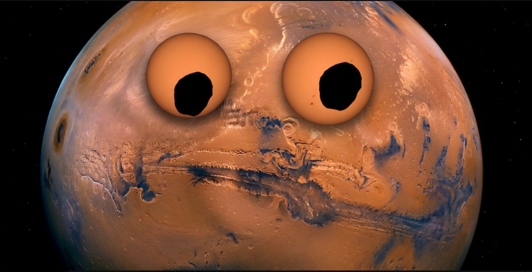 Laughing Lions 🦁 tweet media