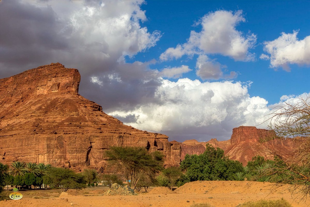 Saudi Magazine tweet media