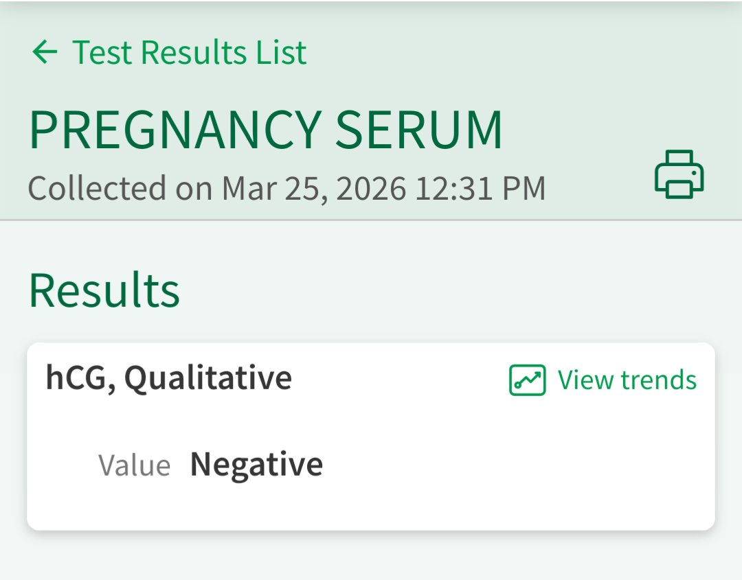 lilybwees 🐝🪫 tweet media