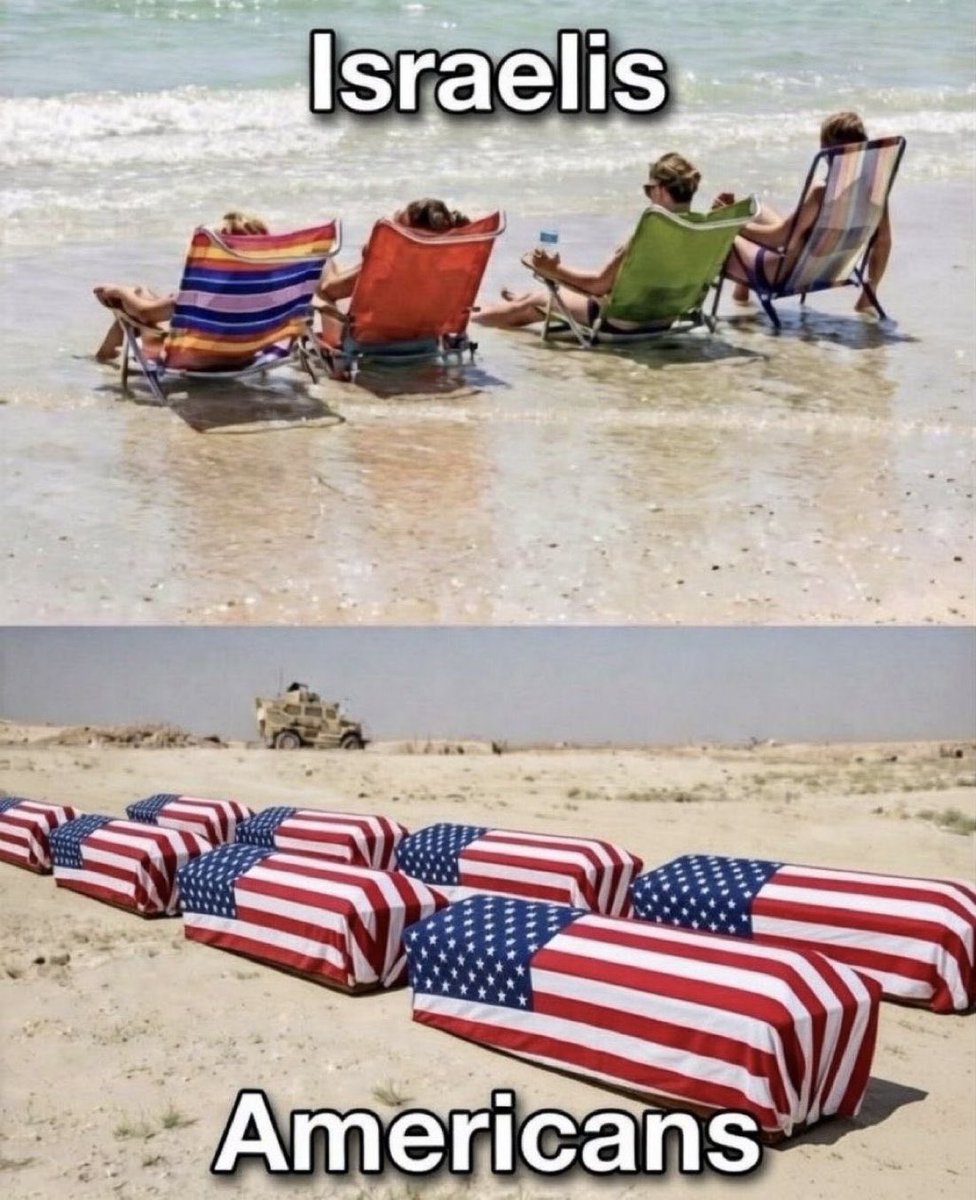 BasedDepartment999 tweet media