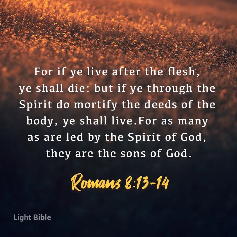 Cody Melton tweet media