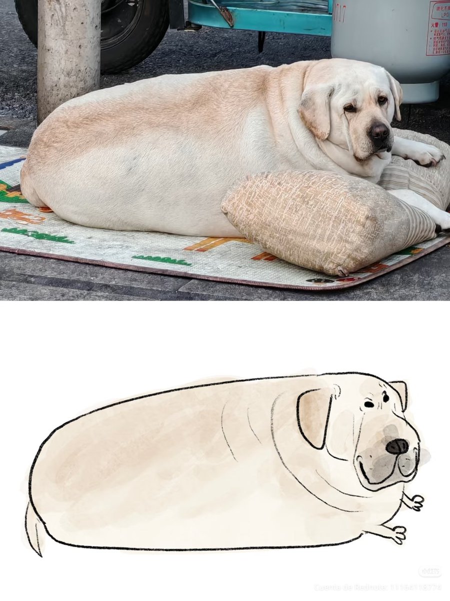 daily post tweet media