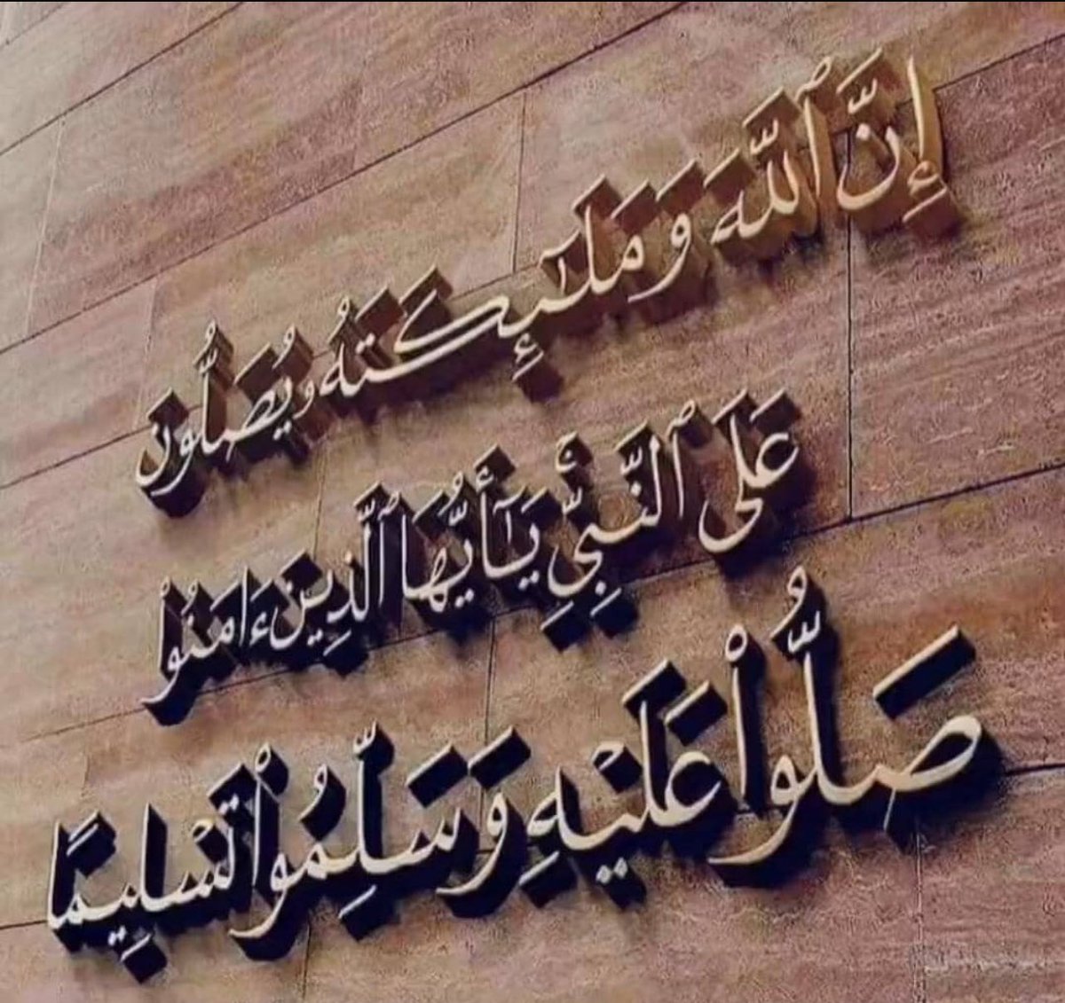 المتوكلة🇸🇦 tweet media