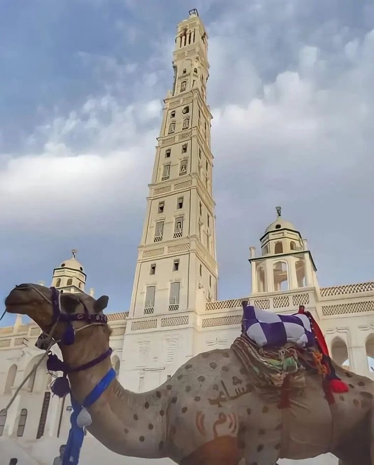 الحضرمي🐪 tweet media