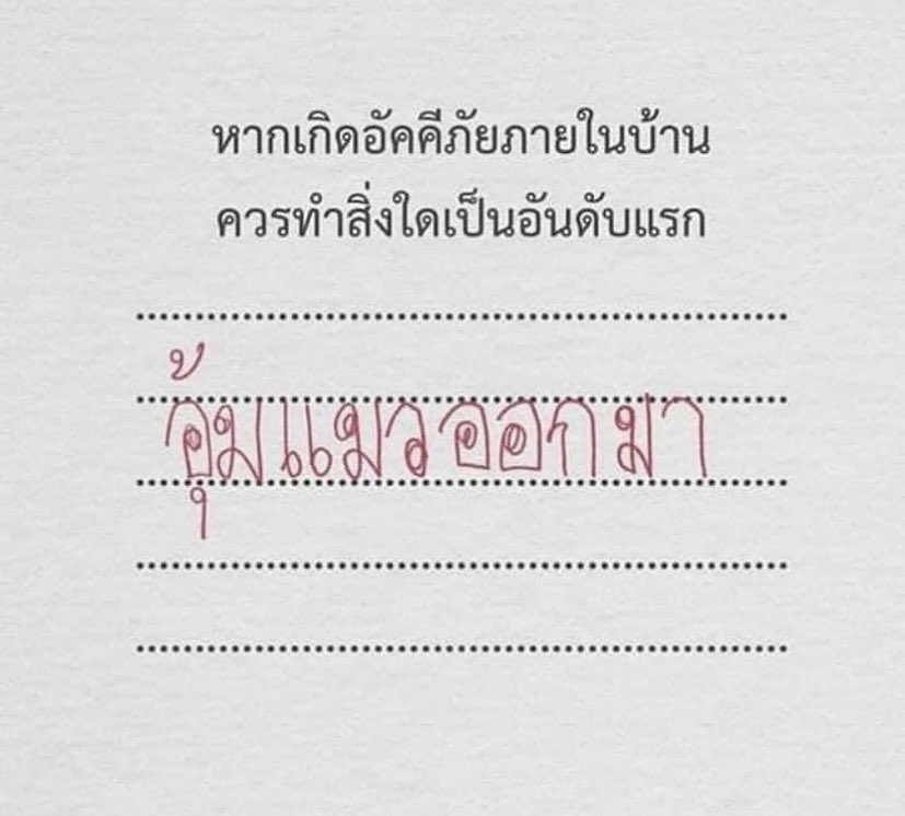 W.♡ ̇ ‧₊˚ ⊹ tweet media