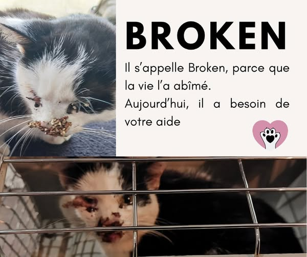 Geo ❄️☕️ tweet media