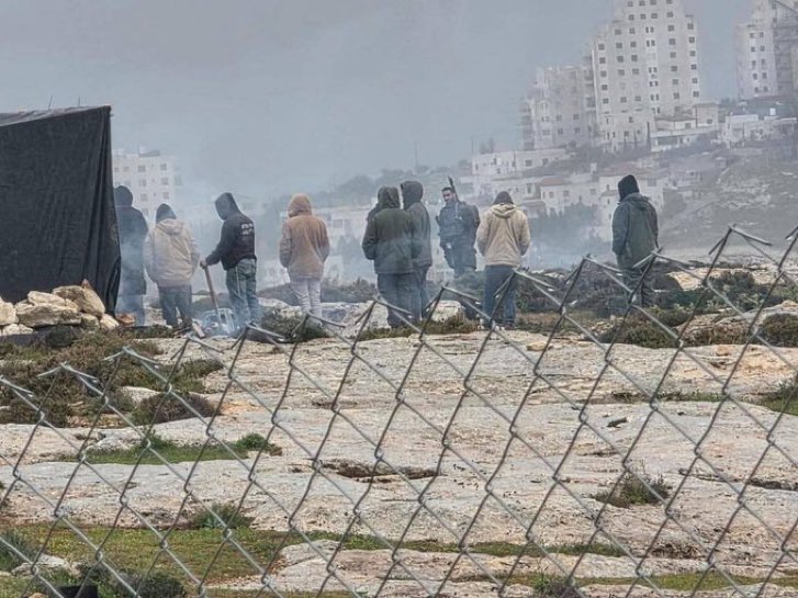 Etan Nechin tweet media