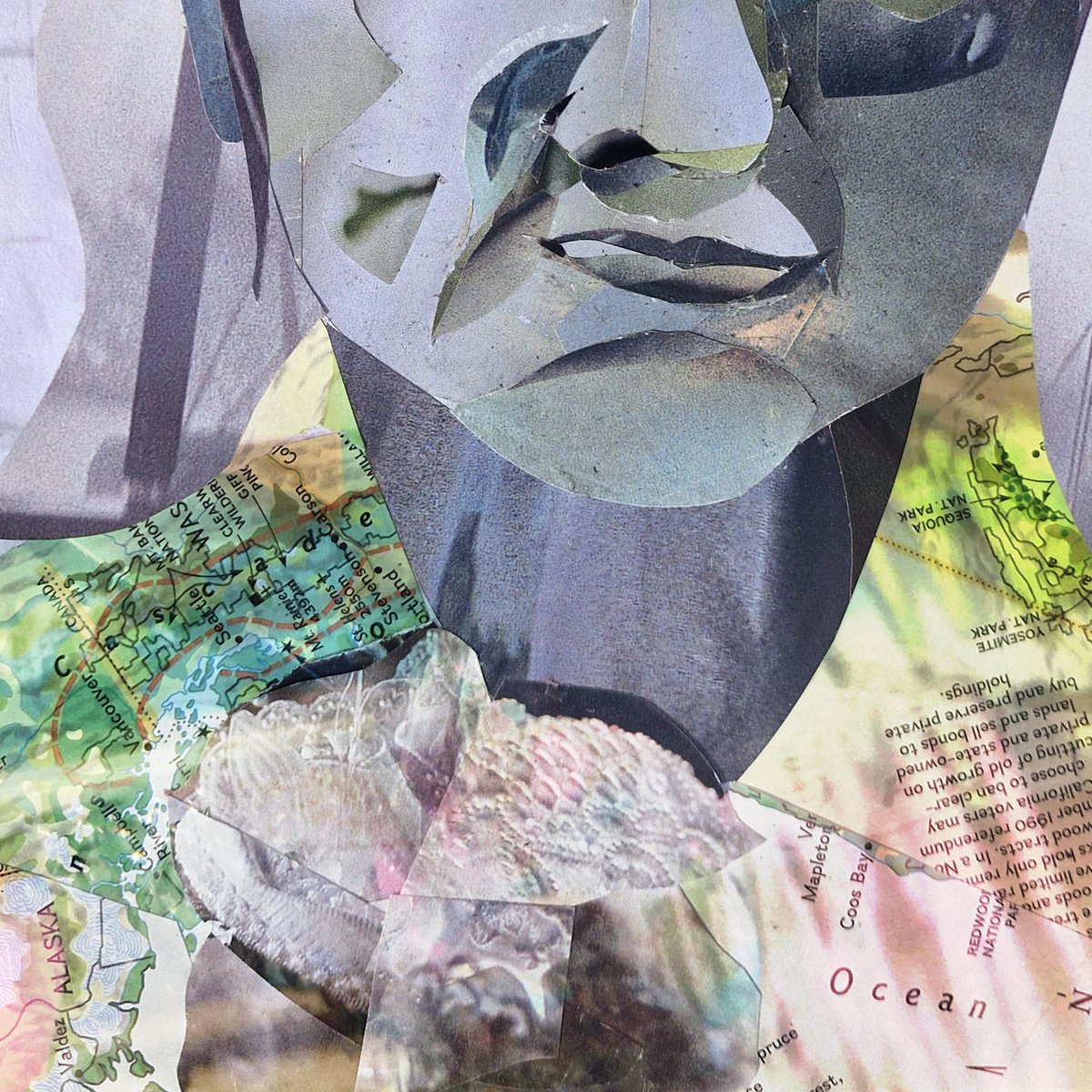 archmind_'s tweet photo. Whiskered nurse sharks (Ginglymostoma cirratum) whisper to green Anya:
“There will be the ocean, and even Alaska, if only you dare to want it.
Because you are one of us.”

#art #collageart #portrait #surreal #surrealart https://t.co/VSQa6wFqXW