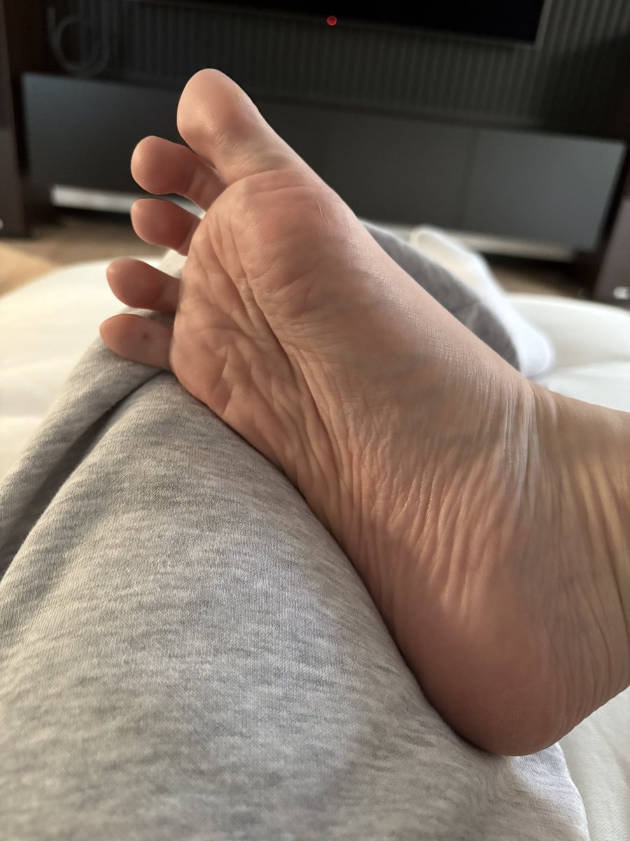 Hailey Maison tweet media