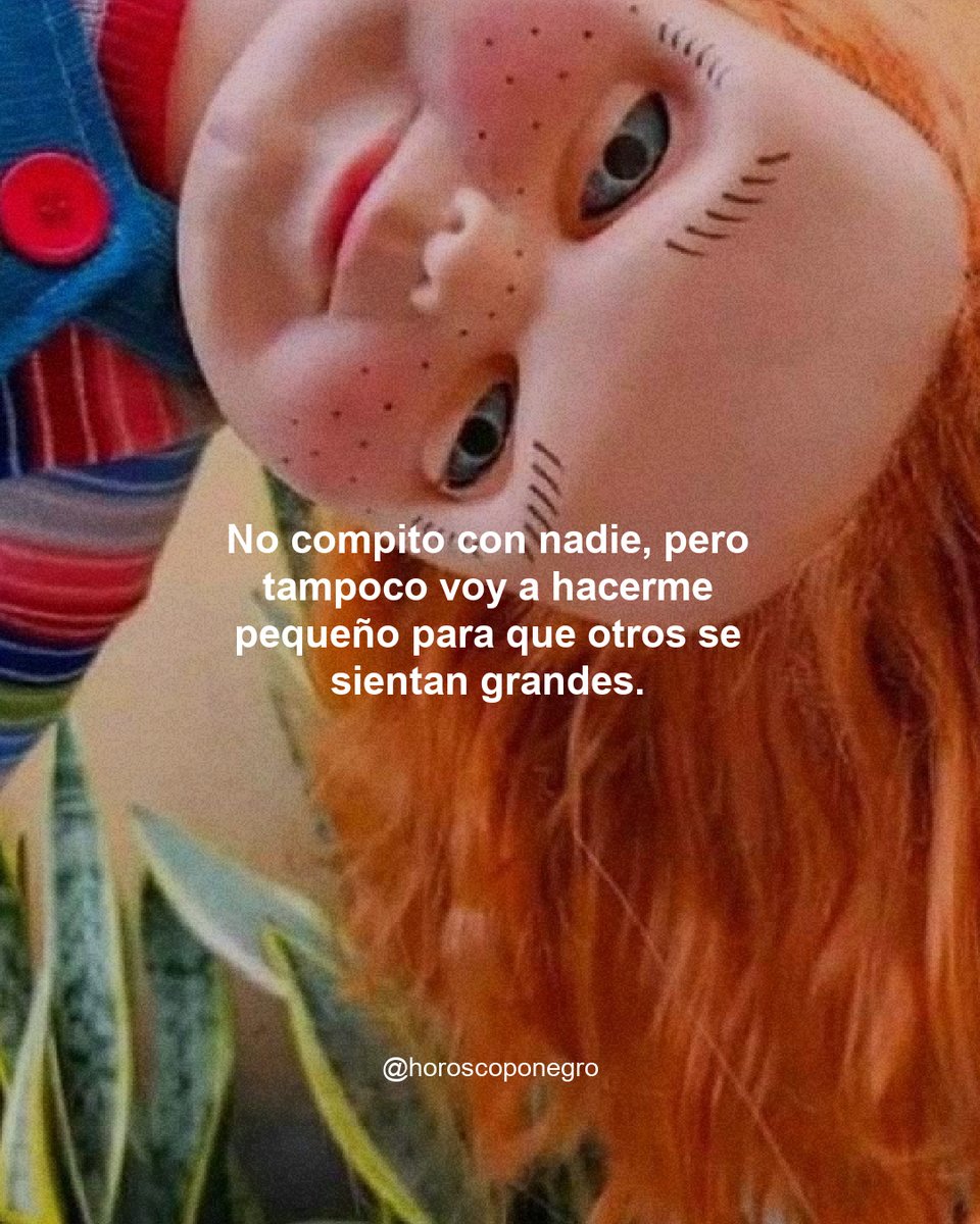 ¿Con cuál te quedas? 🔮