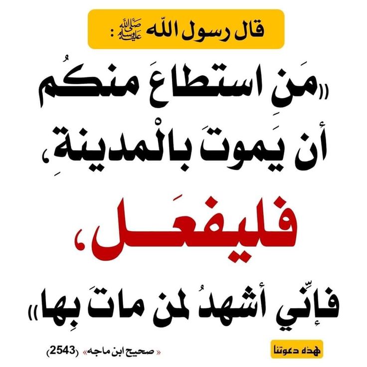 إِســـلَآميِّات tweet media