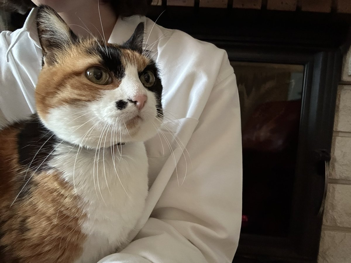 noji⁷ 🎐 tweet media