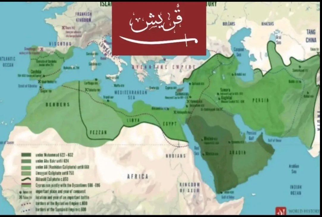 الهاشمي tweet media