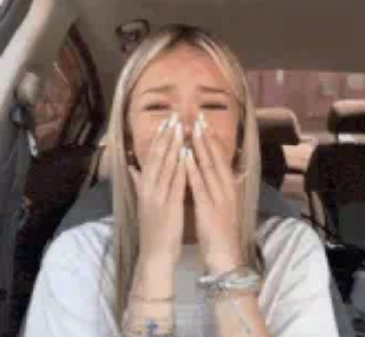 diana ⭑ tweet media