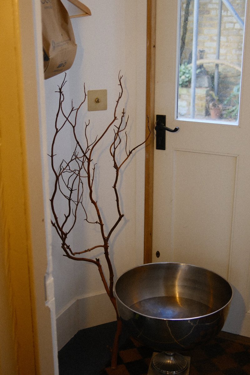 Dimitri Novikov 🇺🇦 tweet media