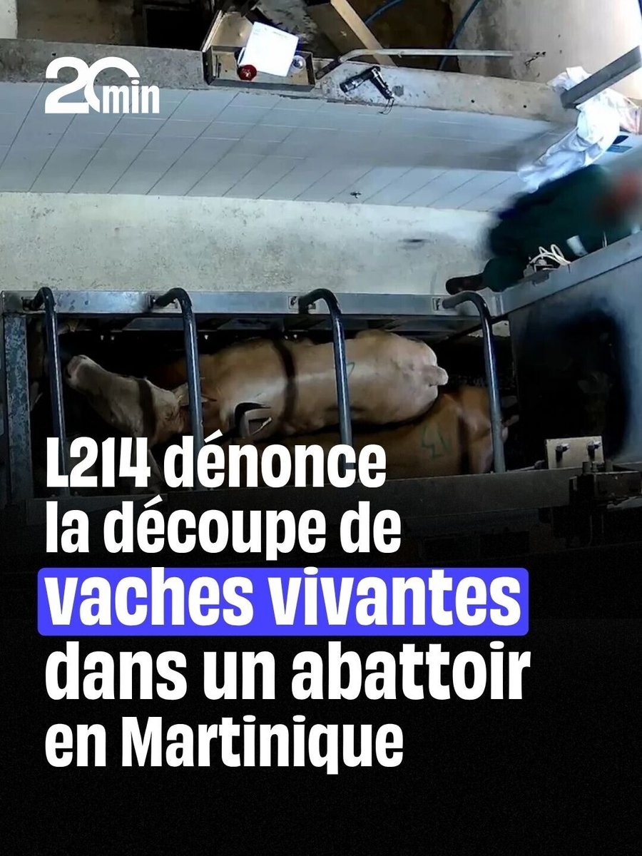 20 Minutes tweet media