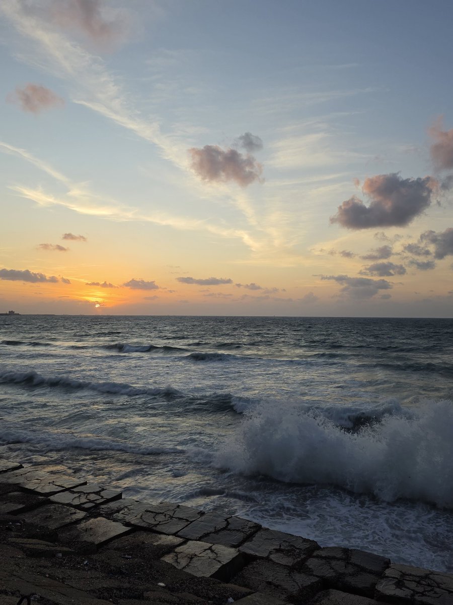 mohamad diab tweet media