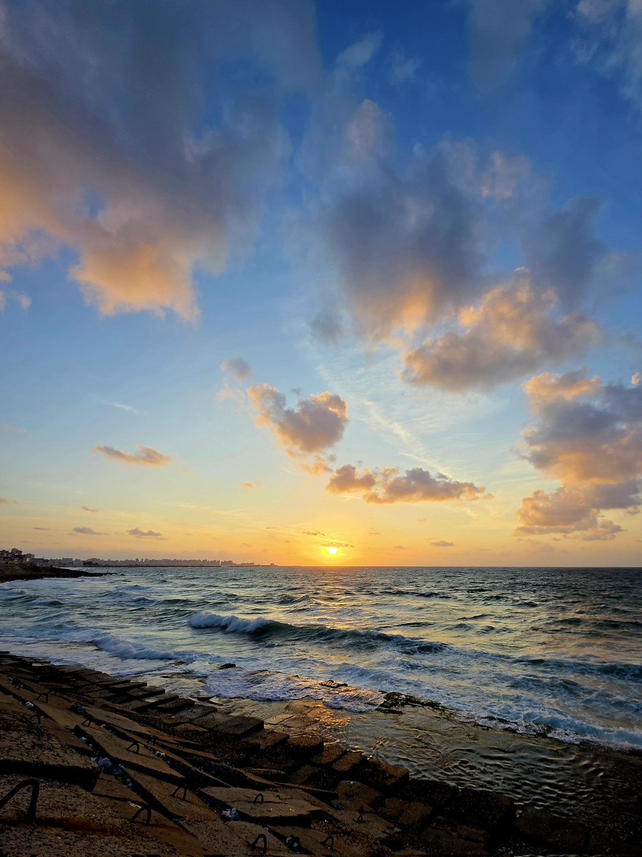 mohamad diab tweet media