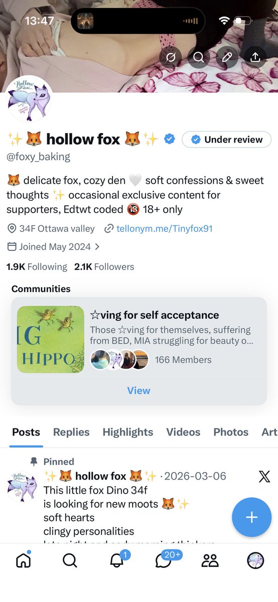 ✨🦊 hollow fox 🦊✨ tweet media