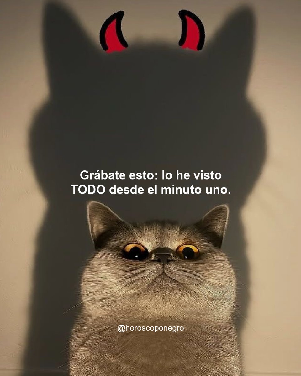 ¿Con cuál te quedas? 🔮